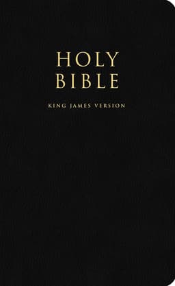 Holy Bible