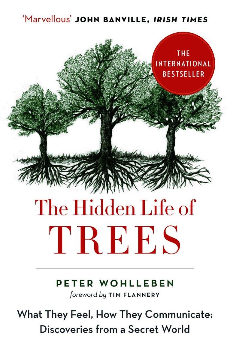Hidden Life of Trees