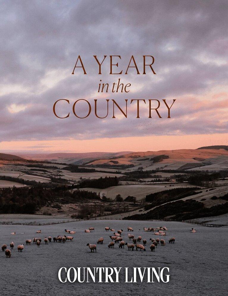 Year in the Country