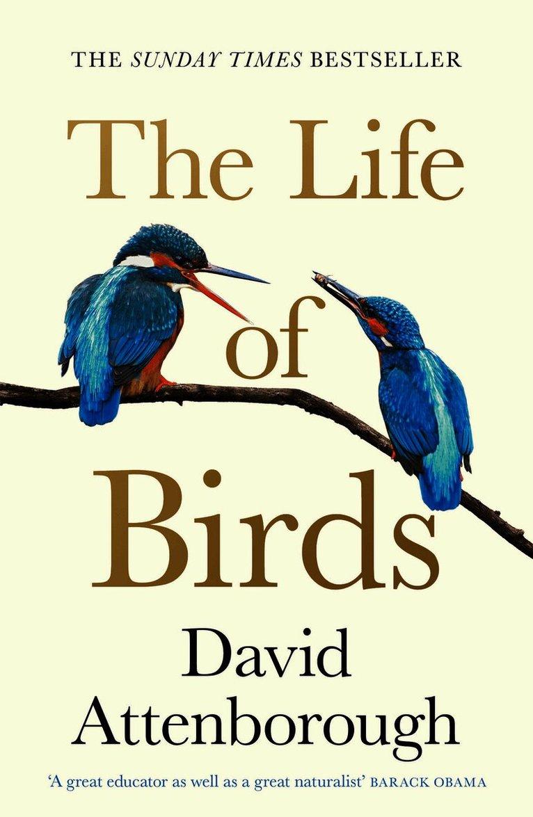 Life of Birds
