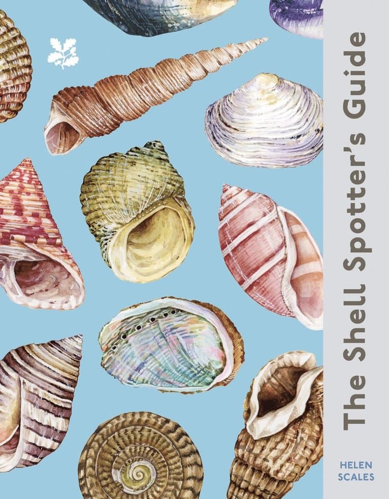 Shell Spotter’s Guide