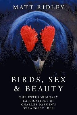 Birds, Sex and Beauty