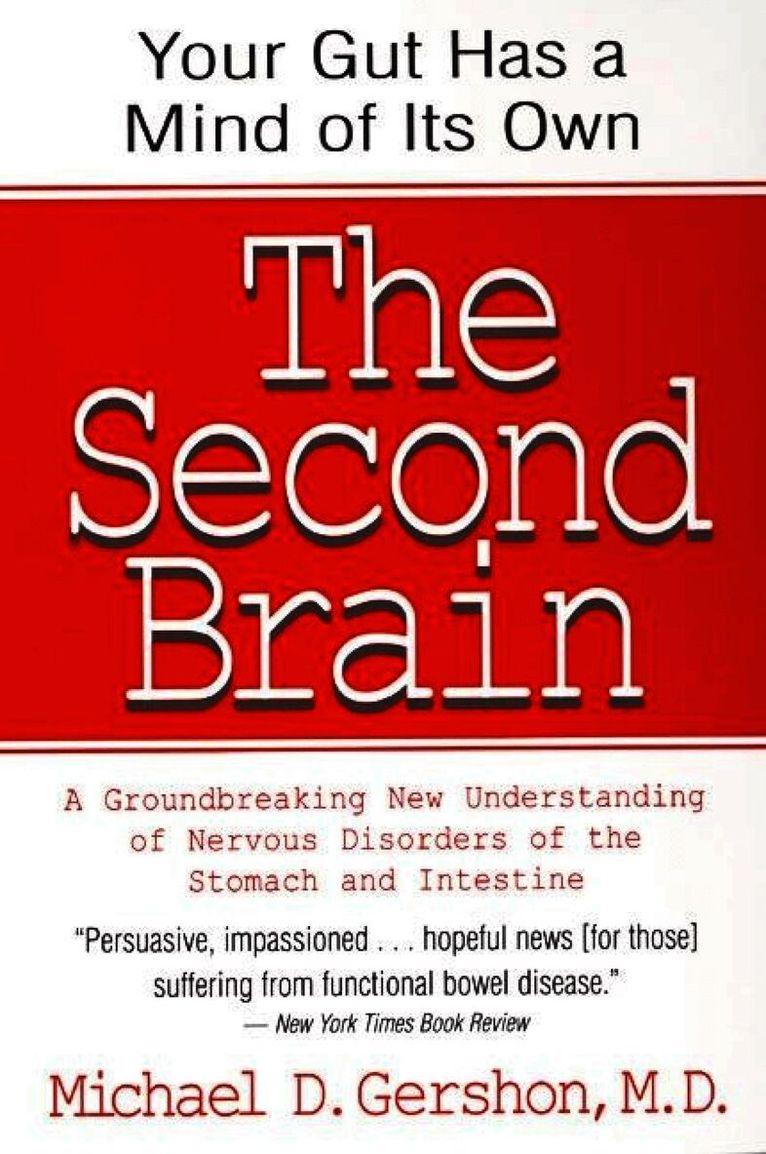 Second Brain