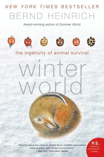 Winter World: The Ingenuity of Animal Survivor