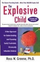 Explosive Child