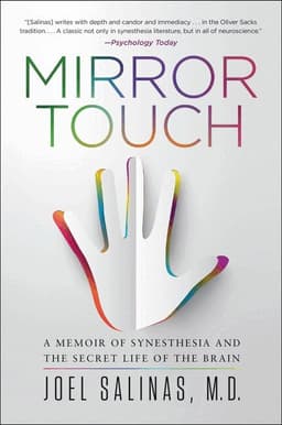 Mirror Touch