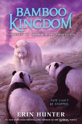 Journey to the Dragon Mountain