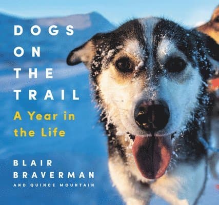 Dogs on the Trail