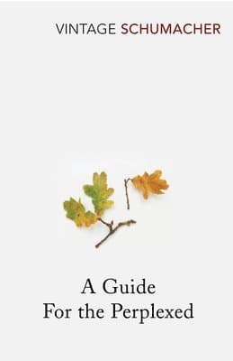Guide For the Perplexed
