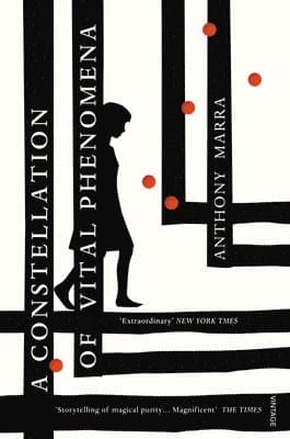 Constellation of Vital Phenomena