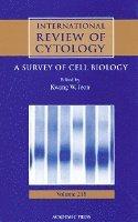 International Review of Cytology
