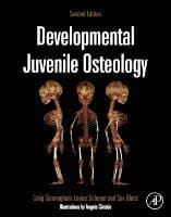 Developmental Juvenile Osteology