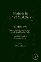 Imaging and Spectroscopic Analysis of Living Cells