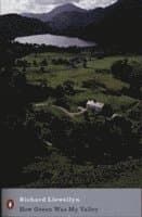 How Green Was My Valley