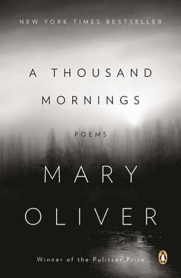 A Thousand Mornings: Poems