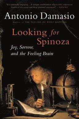 Looking for Spinoza