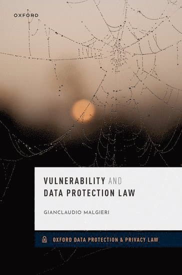 Vulnerability and Data Protection Law