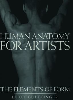 Human Anatomy for Artists