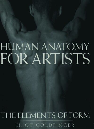 Human Anatomy for Artists