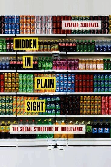 Hidden in Plain Sight