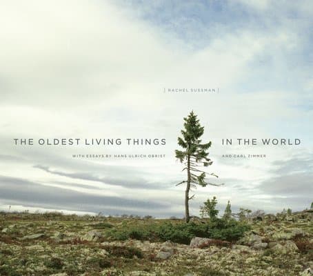 Oldest Living Things in the World