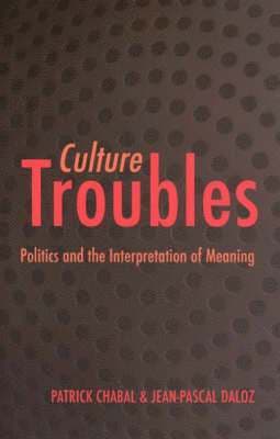 Culture Troubles: Politics and the Interpretation of Meaning