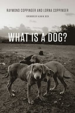 What Is a Dog?