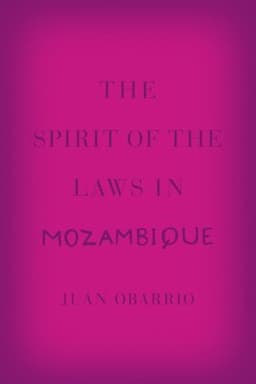 Spirit of the Laws in Mozambique