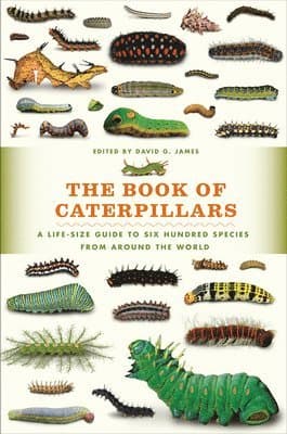 Book of Caterpillars