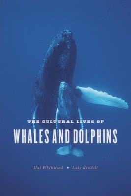 Cultural Lives of Whales and Dolphins