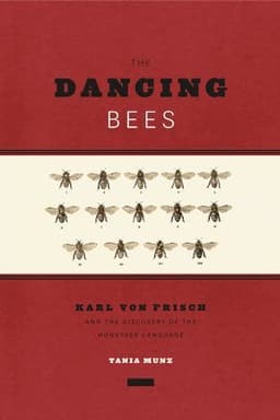 Dancing Bees