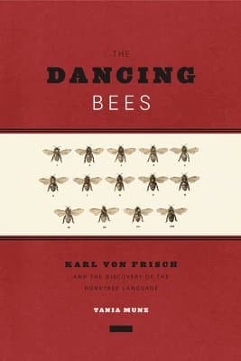 Dancing Bees