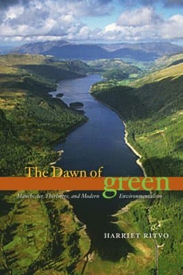 Dawn of Green