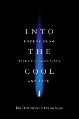 Into the Cool