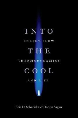 Into the Cool