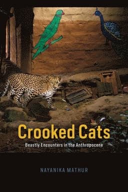Crooked Cats