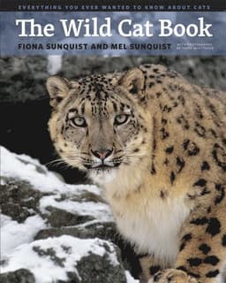 Wild Cat Book