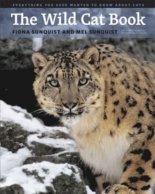 Wild Cat Book