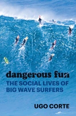 Dangerous Fun