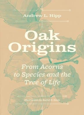 Oak Origins