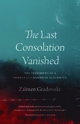 Last Consolation Vanished