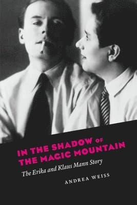 In the Shadow of the Magic Mountain