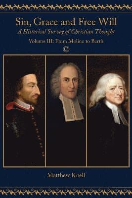 Sin, Grace and Free Will