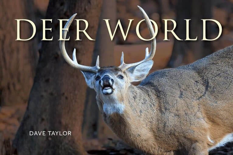 Deer World