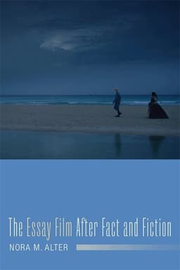 Essay Film After Fact and Fiction
