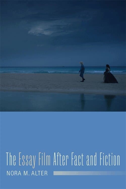 Essay Film After Fact and Fiction