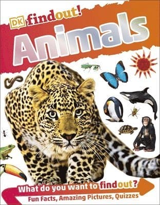 DKfindout! Animals