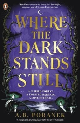 Where the Dark Stands Still