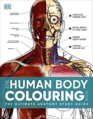 Human Body Colouring Book