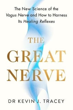 Great Nerve